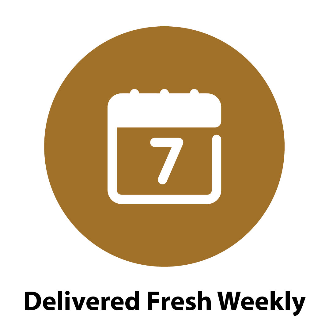feature-item-4